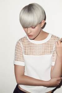 silver-grey-hair-colours-200x300