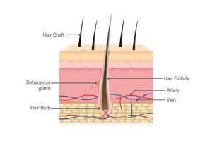 What Makes Hair Grow