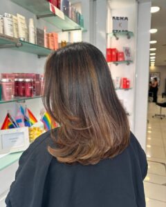 Quiet Luxury Brunette Hair Colours