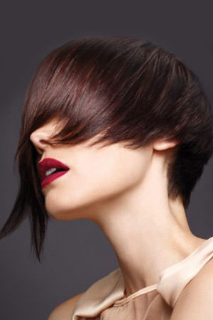 Five Hairstyles To Try in 2018 at Zappas Hair Salons 